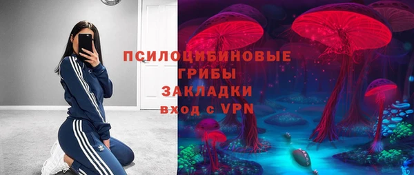 ГАЛЛЮЦИНОГЕННЫЕ ГРИБЫ Козельск