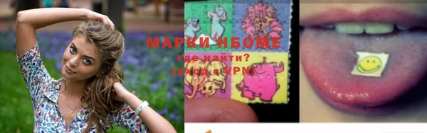 шишки Киреевск