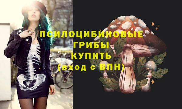 шишки Киреевск